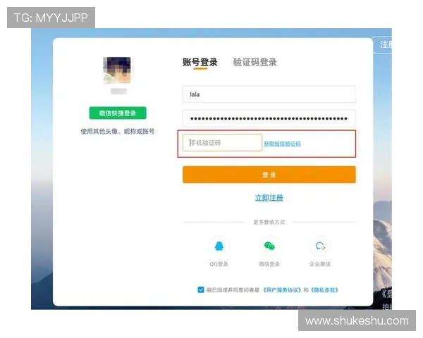 开云体育旗舰网站的用户注册流程与账户安全保障措施详解